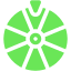 roulette icon