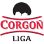 Slovakia 1. Liga team