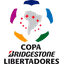 Copa Libertadores team