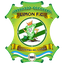 Limon team