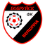 Belshina Bobruisk team