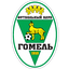 Gomel team
