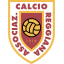 Reggiana Primavera team