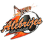 Alebrijes Oaxaca team
