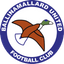 Ballinamallard United team