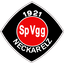 SpVgg Neckarelz team