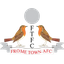 Frome Town team