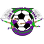 Alianza Yabucoena team