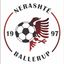 Nerashté Ballerup team