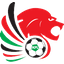 Premier League team