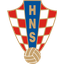 Pokal team