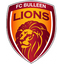 FC Bulleen Lions (k) team
