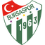 Bursaspor team