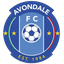 Avondale FC U20 team
