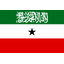 Somaliland team