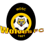 Wolves FC team
