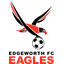 Edgeworth Eagles team