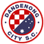 Dandenong City team