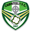 Cabinteely team