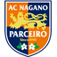 Nagano Parceiro team