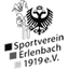SV Erlenbach team