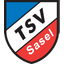 TSV Sasel team