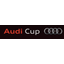 Audi Cup team