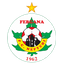 Neftchi Fargona team