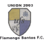 Uniao Flamengo Santos team