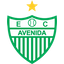 Avenida team