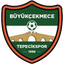 Buyukcekmece Tepecikspor team