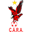 CARA team