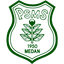 PSMS team