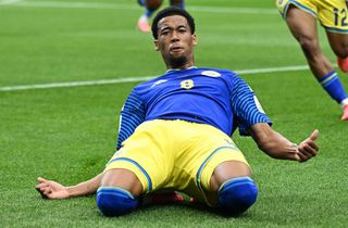 Paul Ellis/AFP/Ritzau Scanpix -FIFA VM