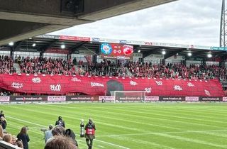 Privat -3F Superliga