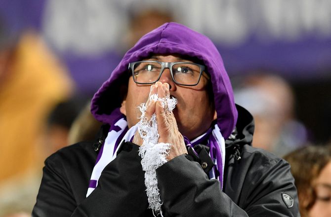 Serie A -Fiorentina finder ny sportsdirektør internt