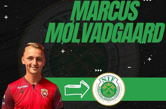 NordicBet Liga -Næstved snupper fri Mølvadgaard