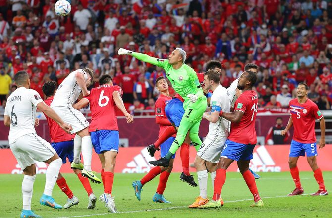 International -Forest henter og udlejer costaricansk kreatør