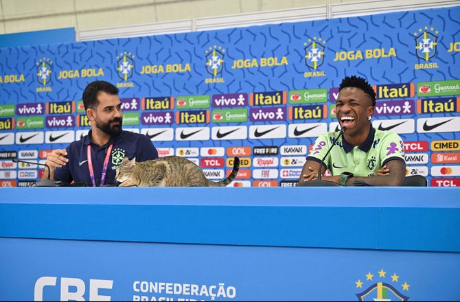 VM -Herreløs kat afbryder brasiliansk pressemøde 