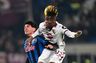 Fiorentina henter svensk angriber