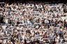 Medie: Hammarby forhandler med FCK om ung stopper