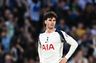 Medie: Tottenham afviser Newcastle-bud
