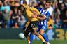 Joel Veltman forlader Brighton