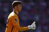 Sunderland forlænger med Robin Roefs