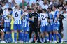 Mike Cave får vigtig rolle i Brighton