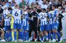 Svensk rekordsalg vil vinde titler i Brighton