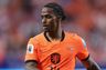 Medie: United intensiverer jagten på Summerville