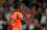 Fulham meldes interesseret i Summerville