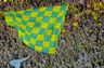 Nantes henter fransk back hos Anderlecht