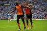 Newcastle henter Hull-profil